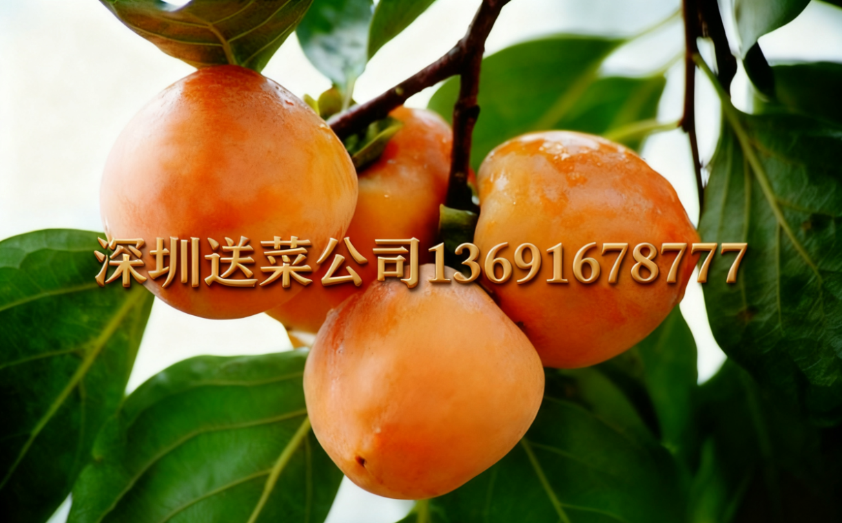 柿子選品不踩坑！惠州蔬菜配送公司為果農(nóng)解析3個(gè)優(yōu)質(zhì)品種的核心優(yōu)勢(shì)