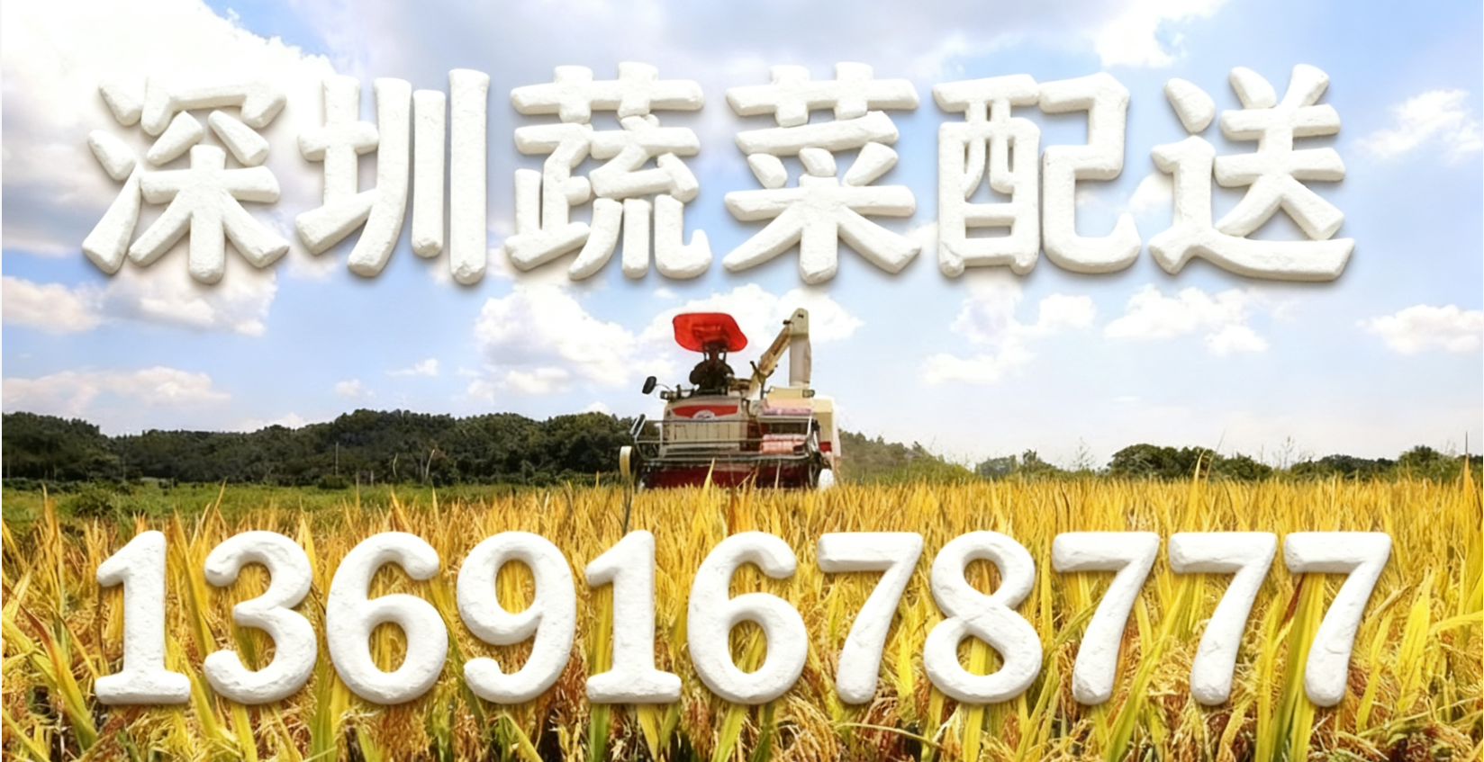 東莞蔬菜配送中心?解讀:“十五五” 怎么讓大家吃得更穩(wěn)、更優(yōu)？