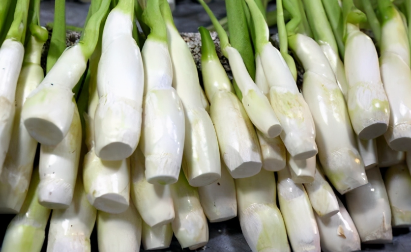 蔬菜配送公司選品參考：耐鹽茭白的生長(zhǎng)秘訣