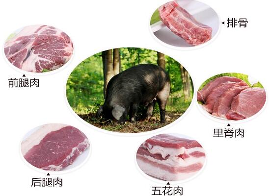 1760178177.jpg tupian_wuhuarou1.jpg