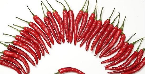 1760260079.jpg tupian_lajiao3.jpg