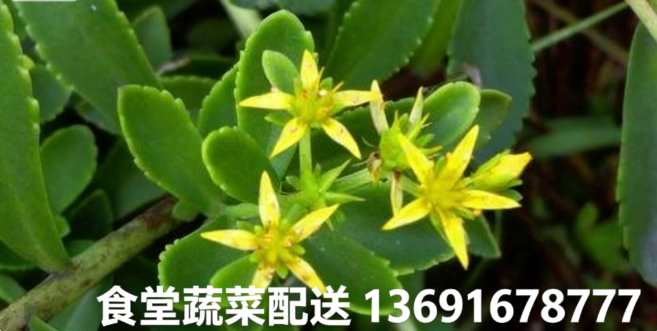 1764926401324144.png 微信圖片_20251205171929_144_3.png
